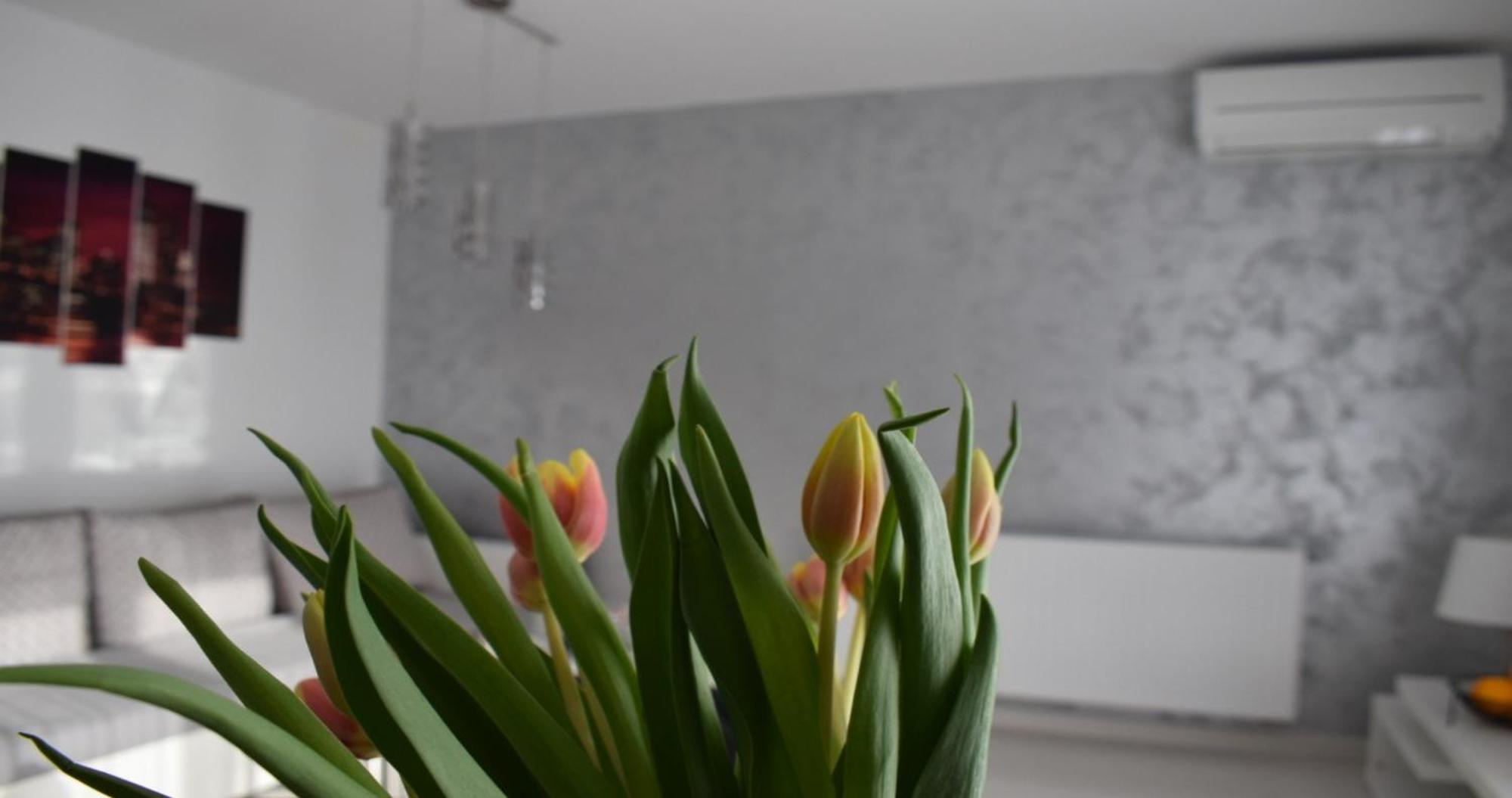Apartmani Foresta Kras エクステリア 写真
