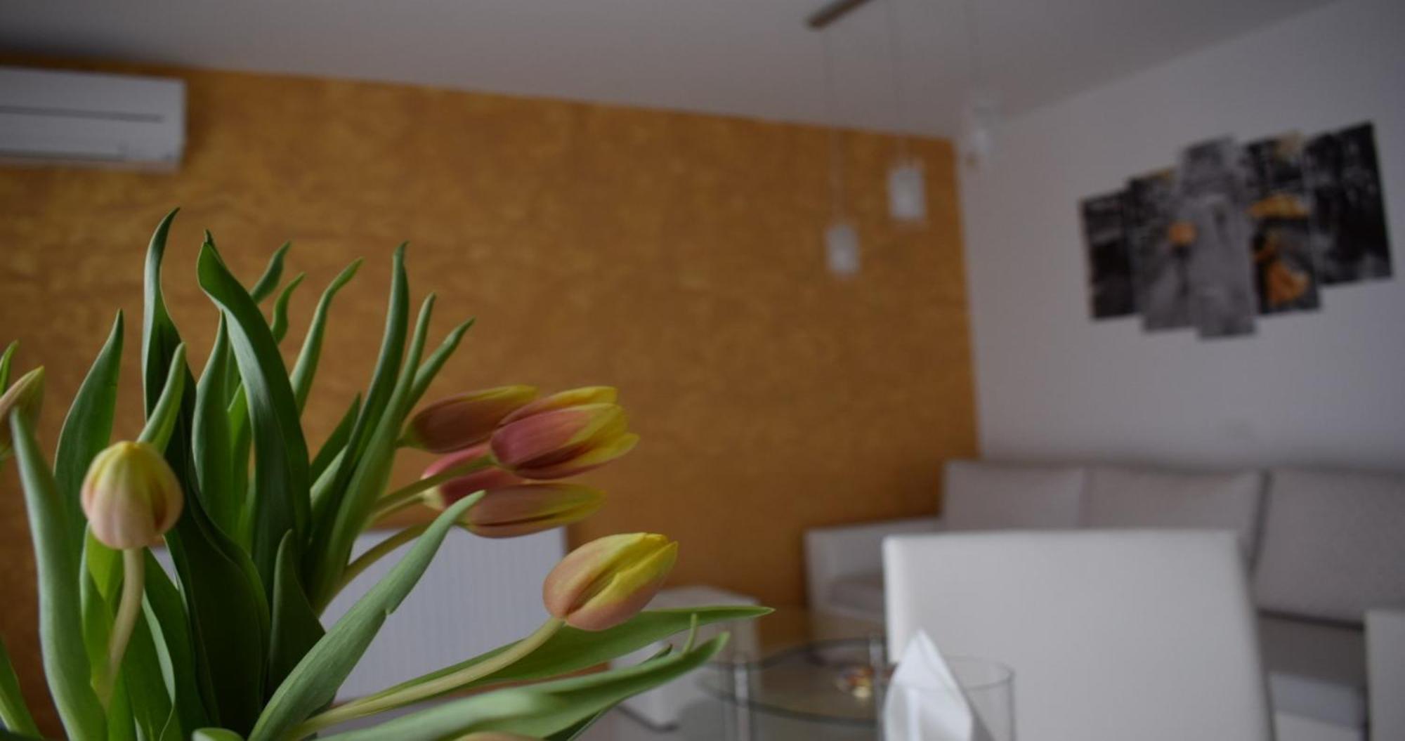 Apartmani Foresta Kras エクステリア 写真